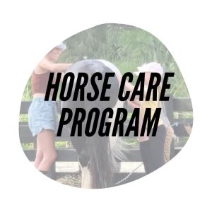 Horse Care Program