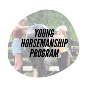 Young Horsemanship Program Term 2