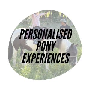 Personalised Pony Experiences